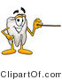Illustration of a Cartoon Tooth Mascot Holding a Pointer Stick by Mascot Junction