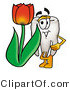 Illustration of a Cartoon Tooth Mascot with a Red Tulip Flower in the Spring by Mascot Junction