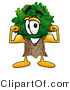 Illustration of a Cartoon Tree Mascot Flexing His Arm Muscles by Mascot Junction