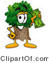 Illustration of a Cartoon Tree Mascot Holding a Dollar Bill by Mascot Junction