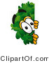 Illustration of a Cartoon Tree Mascot Peeking Around a Corner by Mascot Junction