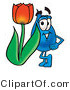 Illustration of a Cartoon Water Drop Mascot with a Red Tulip Flower in the Spring by Mascot Junction