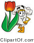 Illustration of a Chef Hat Mascot with a Red Tulip Flower in the Spring by Mascot Junction