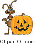 Vector Illustration of a Cartoon Ant Mascot with a Halloween Pumpkin by Mascot Junction