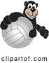 Vector Illustration of a Cartoon Black Bear School Mascot Grabbing a Volleyball by Mascot Junction