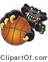 Vector Illustration of a Cartoon Black Jaguar Mascot Grabbing a Basketball by Mascot Junction