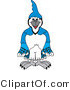 Vector Illustration of a Cartoon Blue Jay Mascot by Mascot Junction