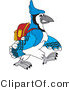 Vector Illustration of a Cartoon Blue Jay Mascot Walking to School by Mascot Junction