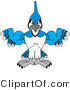 Vector Illustration of a Cartoon Blue Jay Mascot with Big Muscles by Mascot Junction