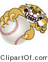 Vector Illustration of a Cartoon Bobcat Mascot Grabbing a Baseball by Mascot Junction