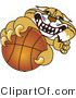 Vector Illustration of a Cartoon Bobcat Mascot Grabbing a Basketball by Mascot Junction