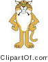 Vector Illustration of a Cartoon Bobcat Mascot Standing with His Hands on His Hips by Mascot Junction