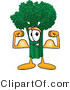 Vector Illustration of a Cartoon Broccoli Mascot Flexing His Arm Muscles by Mascot Junction