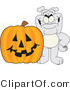 Vector Illustration of a Cartoon Bulldog Mascot with a Halloween Jackolantern by Mascot Junction