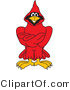 Vector Illustration of a Cartoon Cardinal Mascot with Crossed Arms by Mascot Junction