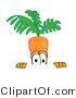 Vector Illustration of a Cartoon Carrot Mascot Nervously Peeking over a Surface by Mascot Junction