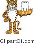 Vector Illustration of a Cartoon Cheetah Mascot Holding a Tooth by Mascot Junction