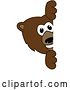 Vector Illustration of a Cartoon Grizzly Bear School Mascot Looking Around a Sign by Mascot Junction