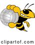 Vector Illustration of a Cartoon Hornet School Mascot Grabbing a Volleyball by Mascot Junction