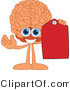 Vector Illustration of a Cartoon Human Brain Holding a Blank Red Tag by Mascot Junction