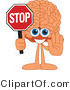 Vector Illustration of a Cartoon Human Brain Mascot Holding a Stop Sign by Mascot Junction