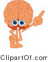 Vector Illustration of a Cartoon Human Brain Mascot Pointing up by Mascot Junction