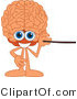 Vector Illustration of a Cartoon Human Brain Mascot Using a Pointer Stick by Mascot Junction