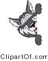 Vector Illustration of a Cartoon Husky Mascot Looking Around a Blank Sign by Mascot Junction