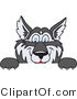 Vector Illustration of a Cartoon Husky Mascot Looking over a Blank Sign by Mascot Junction