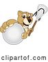 Vector Illustration of a Cartoon Lion Cub School Mascot Grabbing a Lacrosse Ball and Holding a Stick by Mascot Junction