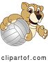 Vector Illustration of a Cartoon Lion Cub School Mascot Grabbing a Volleyball by Mascot Junction