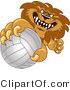 Vector Illustration of a Cartoon Lion Mascot Grabbing a Volleyball by Mascot Junction