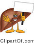 Vector Illustration of a Cartoon Liver Mascot Holding a Small Blank Sign by Mascot Junction