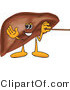 Vector Illustration of a Cartoon Liver Mascot Using a Pointer Stick by Mascot Junction