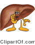 Vector Illustration of a Cartoon Liver Mascot Whispering by Mascot Junction