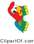 Vector Illustration of a Cartoon Parrot Mascot Peeking by Mascot Junction