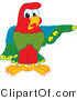 Vector Illustration of a Cartoon Parrot Mascot Pointing Right by Mascot Junction