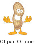 Vector Illustration of a Cartoon Peanut Mascot by Mascot Junction