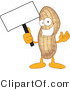 Vector Illustration of a Cartoon Peanut Mascot Holding a Blank Sign by Mascot Junction