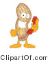 Vector Illustration of a Cartoon Peanut Mascot Holding a Phone by Mascot Junction