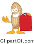 Vector Illustration of a Cartoon Peanut Mascot Holding a Red Price Tag by Mascot Junction