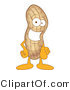 Vector Illustration of a Cartoon Peanut Mascot Pointing Outwards by Mascot Junction