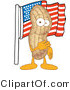 Vector Illustration of a Cartoon Peanut Mascot with an American Flag by Mascot Junction