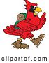 Vector Illustration of a Cartoon Red Cardinal Bird Mascot Hiking by Mascot Junction