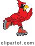 Vector Illustration of a Cartoon Red Cardinal Bird Mascot Roller Blading by Mascot Junction