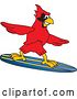 Vector Illustration of a Cartoon Red Cardinal Bird Mascot Surfing by Mascot Junction