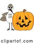 Vector Illustration of a Cartoon Sandpiper Bird School Mascot with a Halloween Pumpkin by Mascot Junction