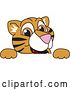 Vector Illustration of a Cartoon Tiger Cub Mascot Looking over a Sign by Mascot Junction