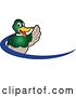 Vector Illustration of a Cartoon Waving Mallard Duck School Mascot and Blue Dash Logo by Mascot Junction