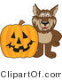 Vector Illustration of a Cartoon Wolf Mascot by a Halloween Pumpkin by Mascot Junction